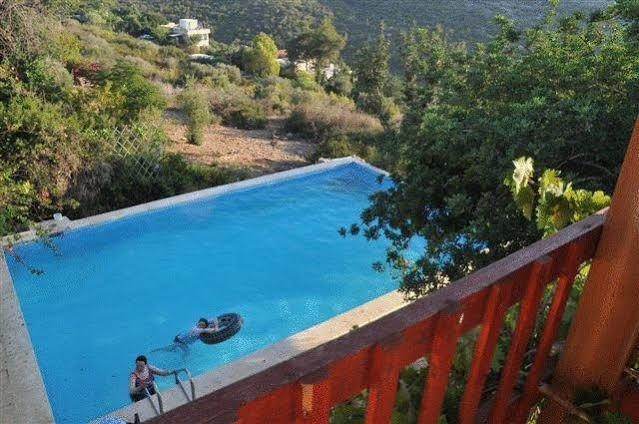 Aparthotel Yakir Ein Hod Extérieur photo